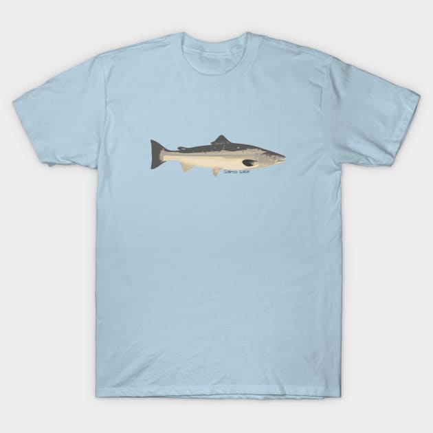 Salmo salar cartoon T-Shirt by DashingGecko